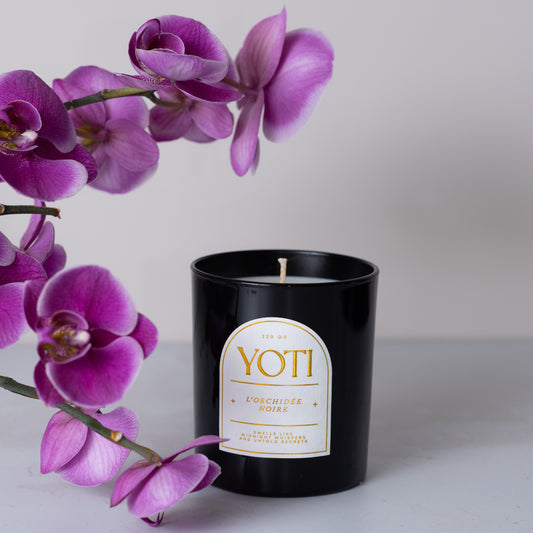 L'Orchidée Noire